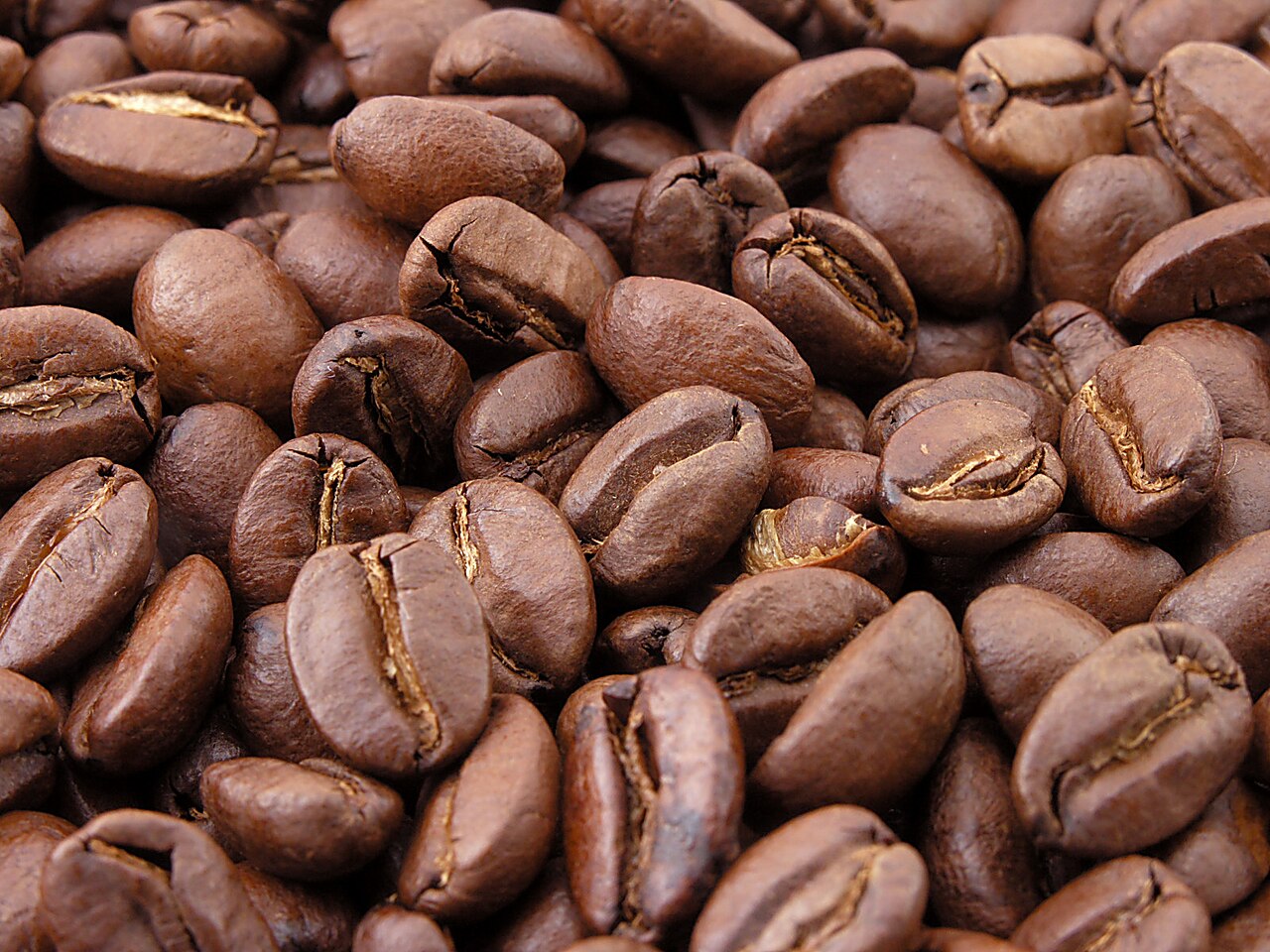 Ekspor Kopi Vietnam Melonjak, Negara Ini Kukuhkan Posisi Sebagai Produsen Robusta Terbesar